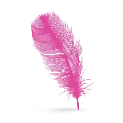 DEKORATIVNO PERJE 50/1