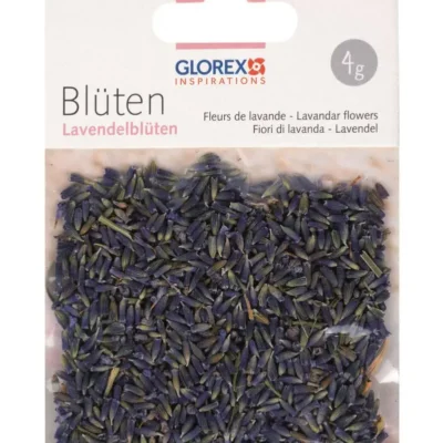 CVJETOVI LAVANDE 4G